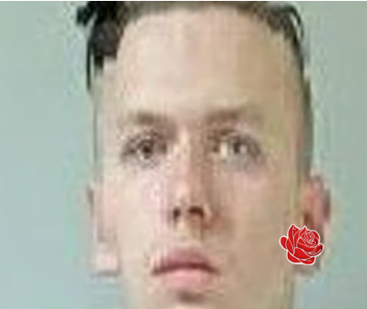 Reece McGregor – profile image